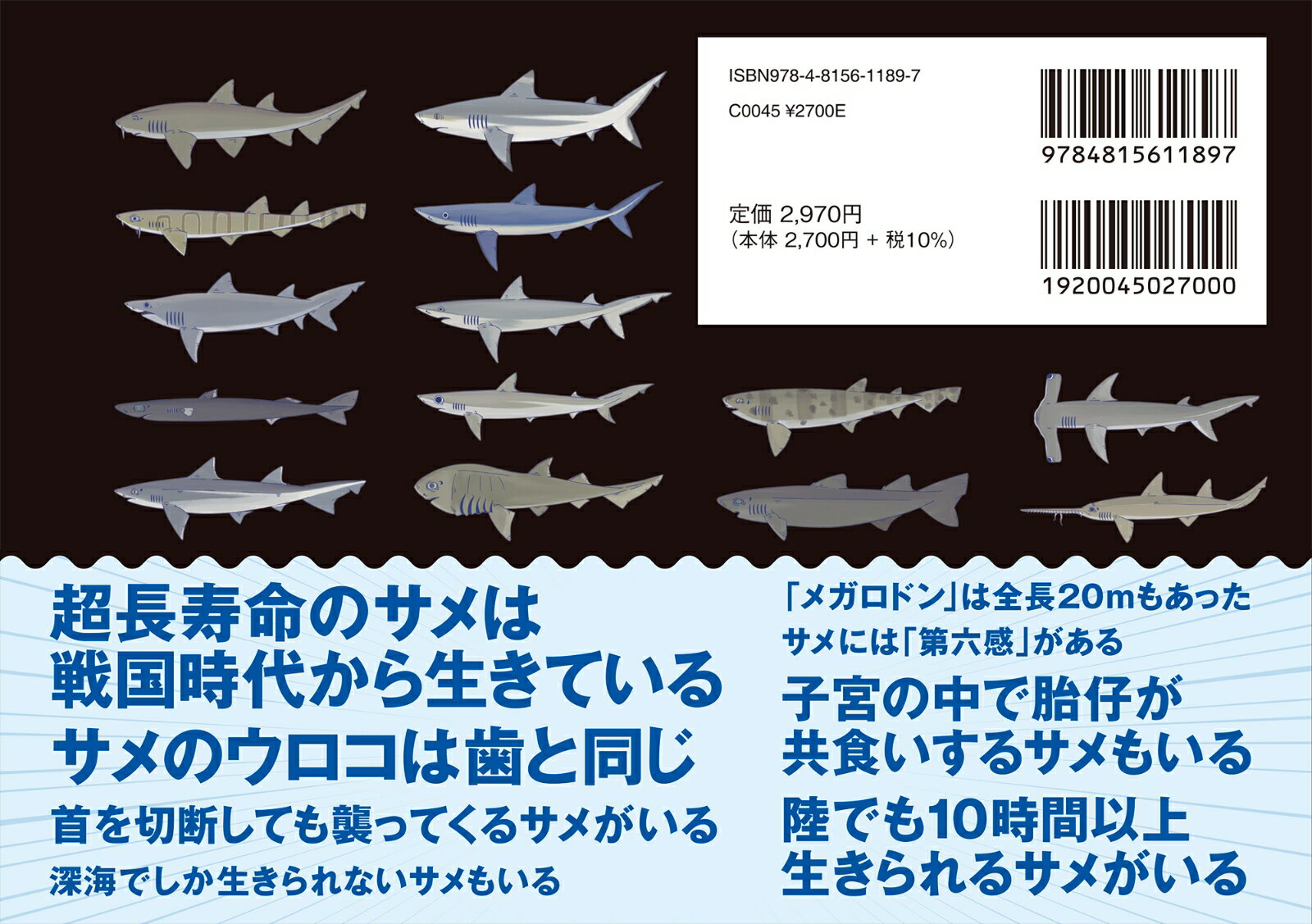 世界のサメ大全 サメ愛好家が全身全霊をささげて描いたサメ図鑑 [ めかぶ ] 3