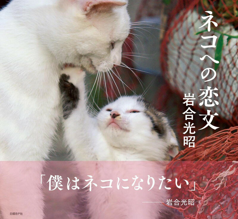 【中古】ネコへの礼儀作法 The　MANYA〜/新紀元社/猫に尽くし隊（単行本）