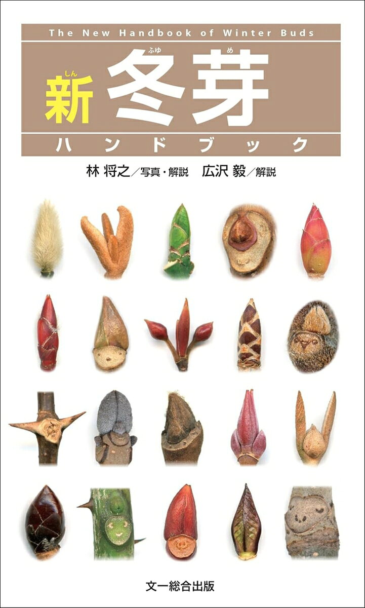新　冬芽ハンドブック [ 林　将之 ]