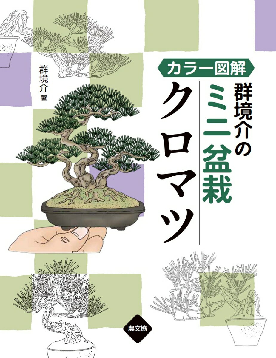 カラー図解　群境介のミニ盆栽　クロマツ