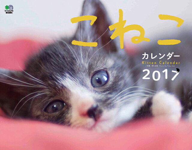 ���ͤ� ��������2017