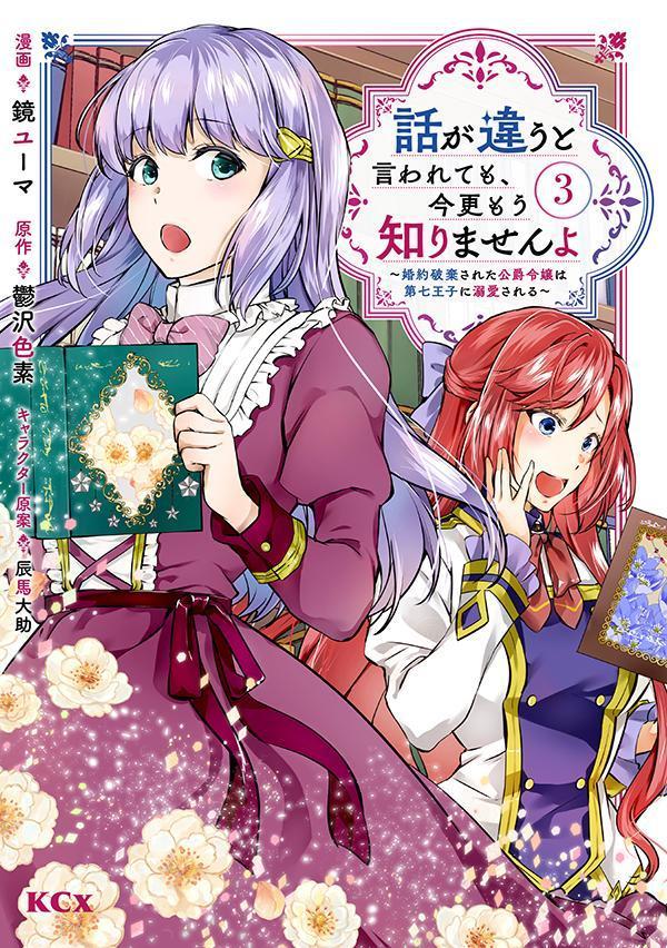 話が違うと言われても、今更もう知りませんよ 〜婚約破棄された公爵令嬢は第七王子に溺愛される〜（3）