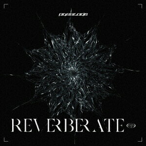 REVERBERATE ep. PassCode