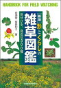 【中古】 日本の野草　春 フィールドベスト図鑑vol．1／矢野亮