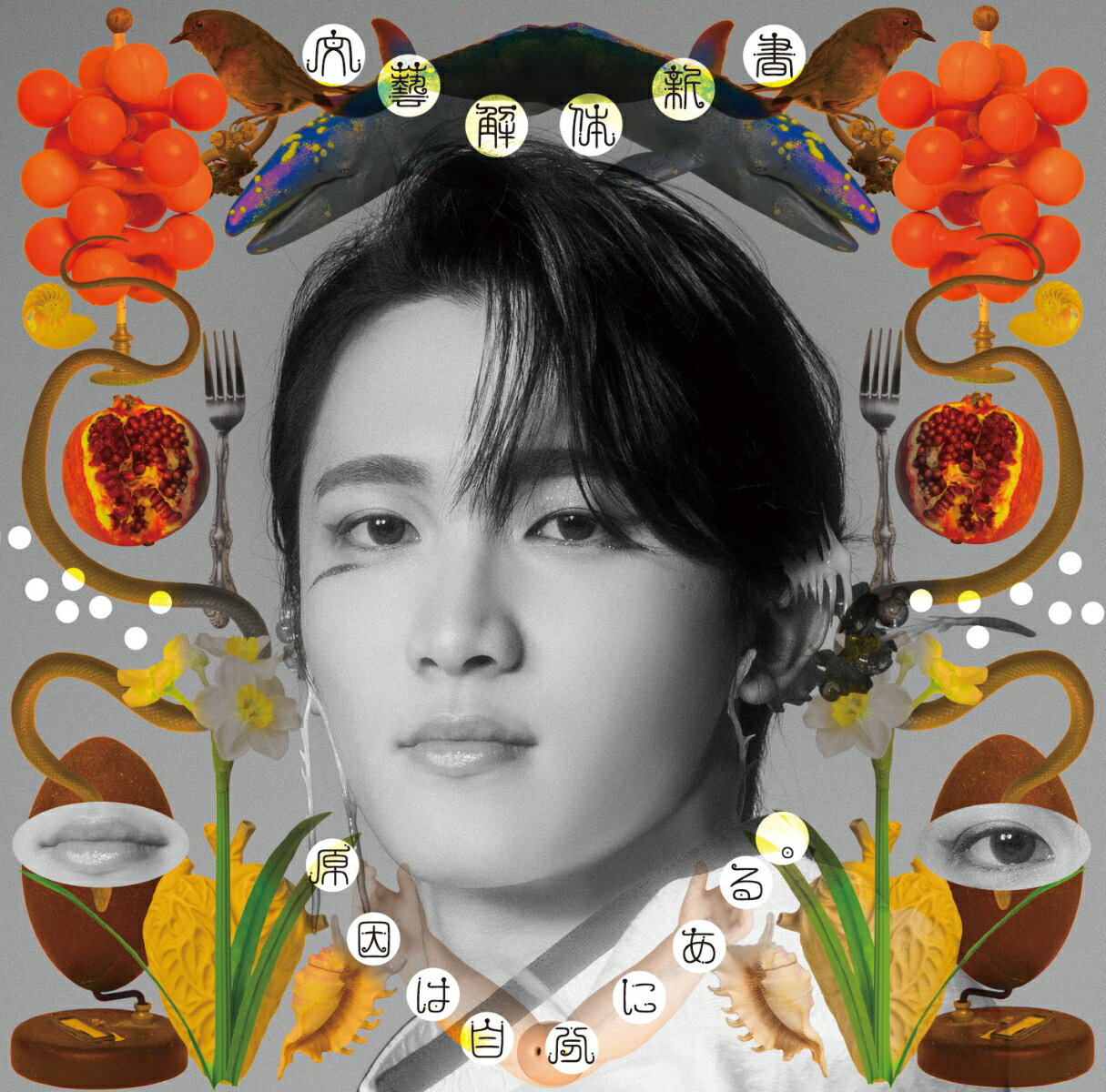 【楽天ブックス限定先着特典】文藝解体新書 (桜木雅哉盤)(クリアシート（全7種のうちランダム1種）)