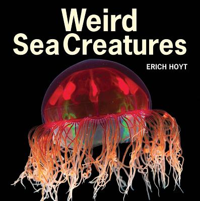 Weird Sea Creatures WEIRD SEA CREATURES [ Erich Hoyt ]