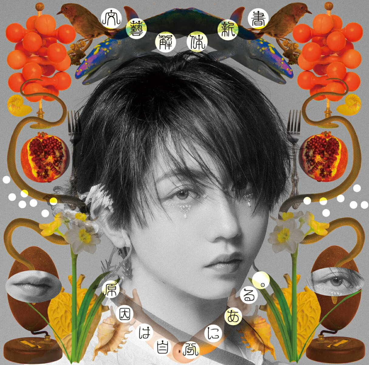 【楽天ブックス限定先着特典】文藝解体新書 (長野凌大盤)(クリアシート（全7種のうちランダム1種）)