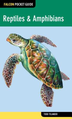 Reptiles & Amphibians REPTILES & AMPHIBIANS （Falcon Pocket Guides） [ Todd Telander ]