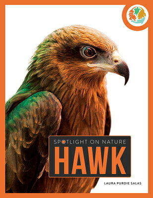 Hawk HAWK （Spotlight on Nature） 