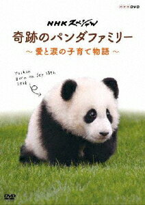 NHKスペシャル 奇跡のパンダファミリー ～愛と涙の子育て物語～ [ (ドキュメンタリー) ]