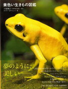 【バーゲン本】黄色い生きもの図鑑