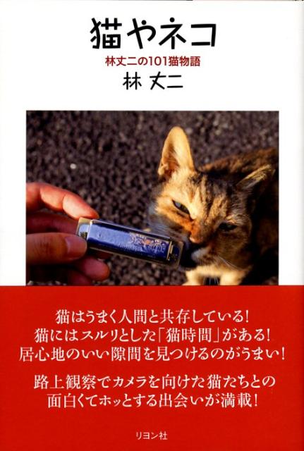 猫やネコ