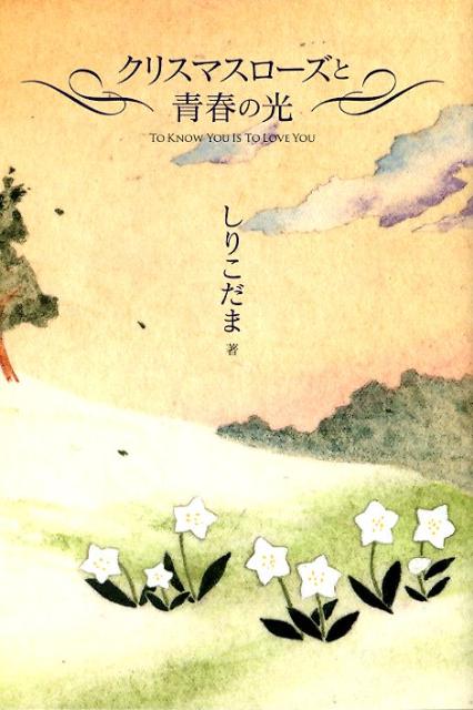 クリスマスローズと青春の光