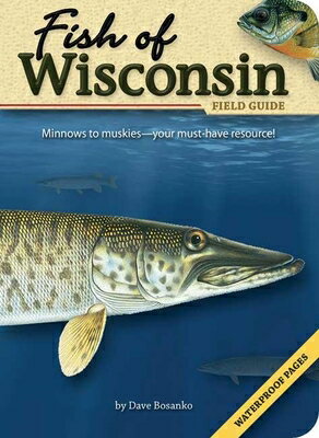 ー Fish entries organized by family
ー State-specific facts on range, preferred habitat and migrations
ー Detailed, full-color illustrations
ー Quick comparisons for easy identification
ー Waterproof pages so you can use this guide anywhere!
