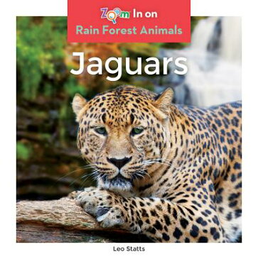 Jaguars JAGUARS （Rain Forest Animals） [ Leo Statts ]