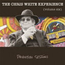 VOLUME SIX-PRODUCTION SESSIONS [ The Chris White Experience ]