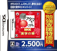 勉強支援特価版 □いアタマを○くする。DS漢字の章の画像