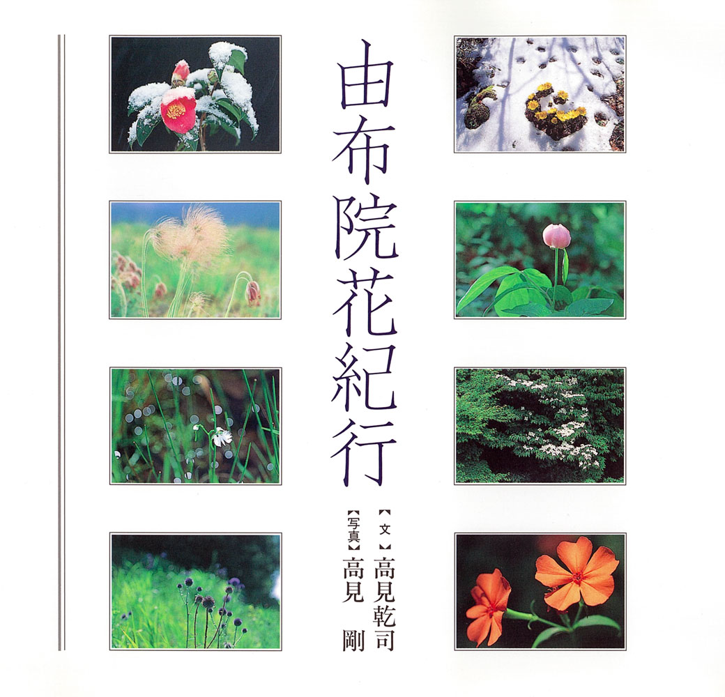 さわさわと吹き渡る風に誘われて今日も森へ行く。折々の草花に彩られ小さな生きものたちの棲むそこは、歓喜と癒しのひとときを私に与えてくれるー「空想の森」から届けられたフォト・メッセージ。