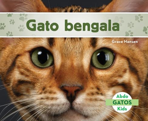 Gato Bengala (Bengal Cats) SPA-GATO BENGALA (BENGAL CATS) （Gatos Set 2 (Cats)） 