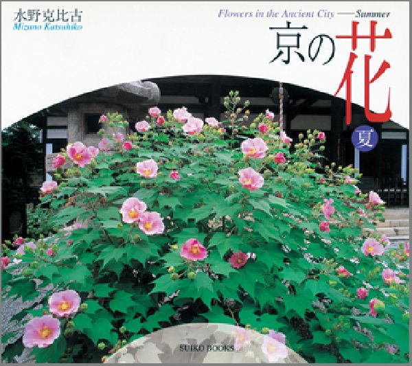京の花（夏）