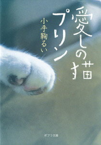 愛しの猫プリン