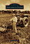 Assumption Parish ASSUMPTION PARISH （Images of America (Arcadia Publishing)） [ Vivian Achee Solar ]