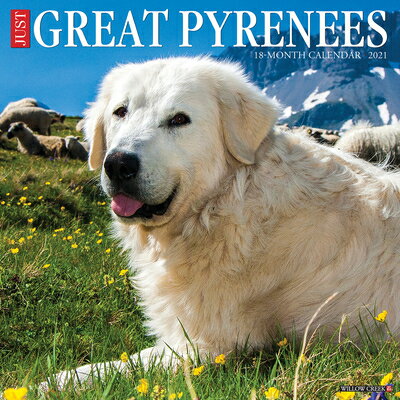 Just Great Pyrenees 2021 Wall Calendar (Dog Breed Calendar)