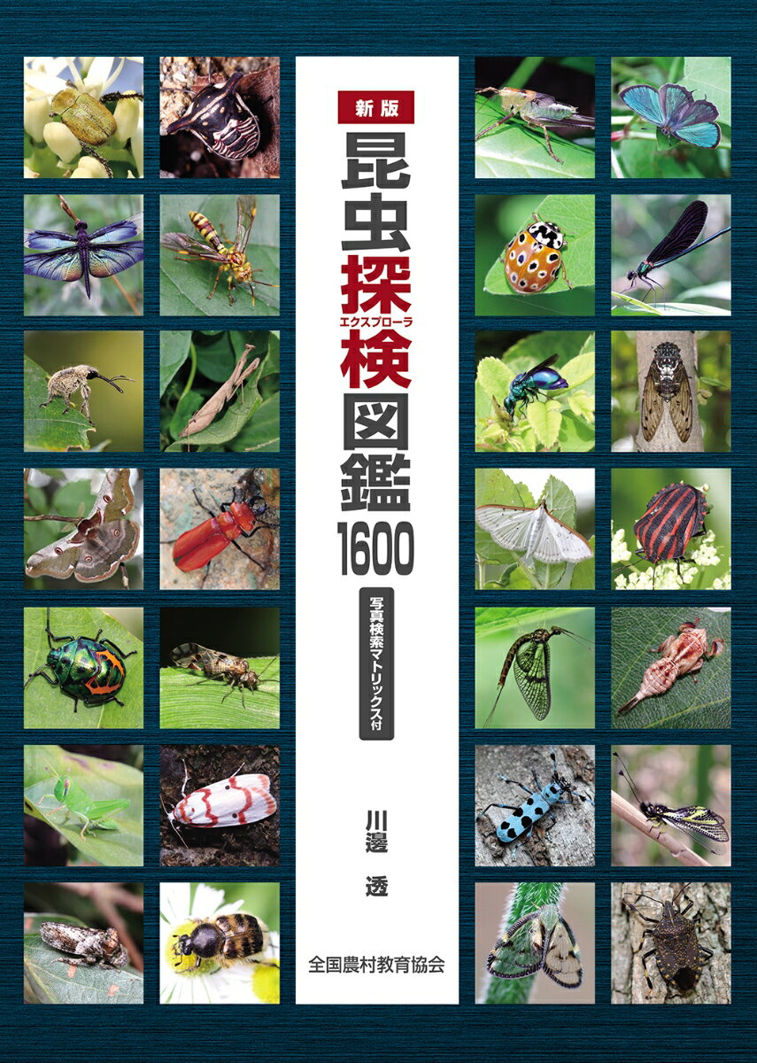 新版 昆虫探検図鑑1600 写真検索マトリックス付 川邊透