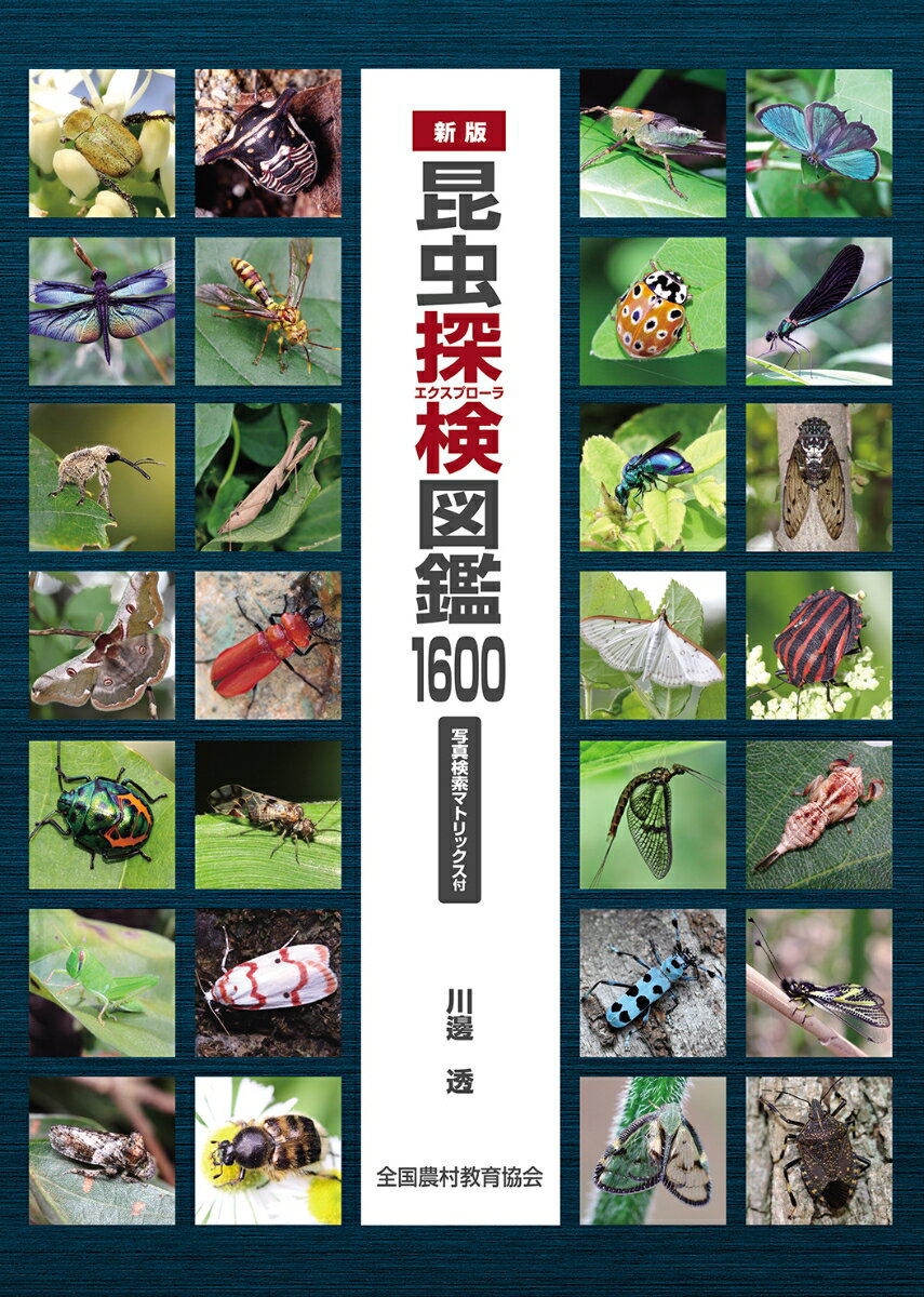 新版　昆虫探検図鑑1600 写真検索マトリックス付 [ 川邊透 ]