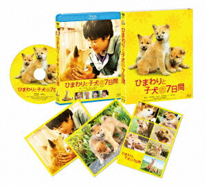 ひまわりと子犬の7日間【Blu-ray】