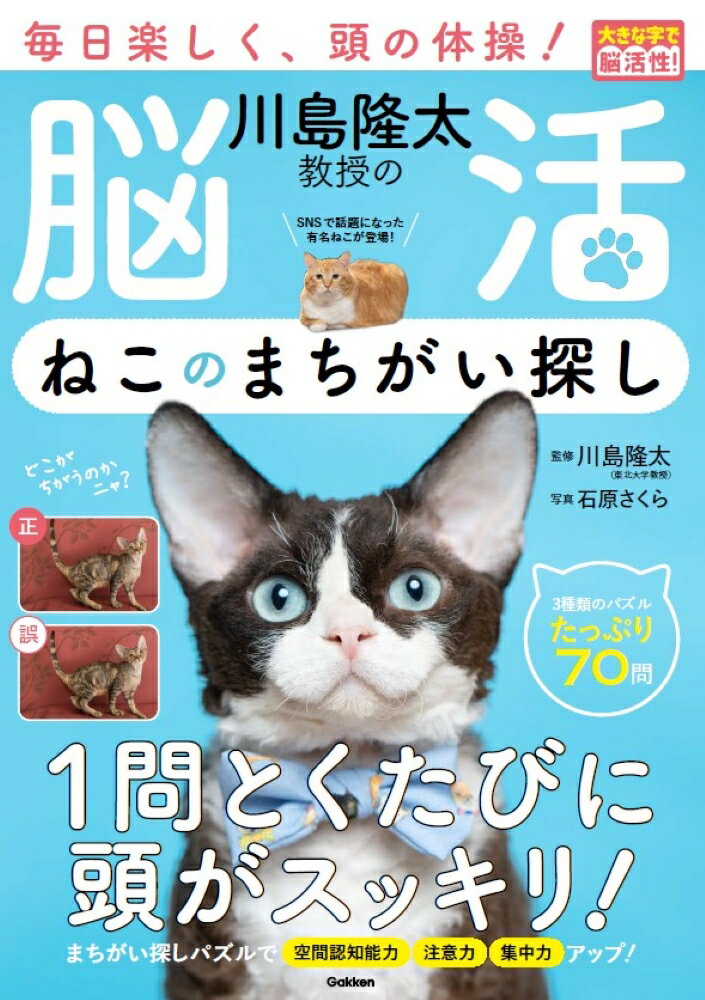 川島隆太教授の脳活　ねこのまちがい探し