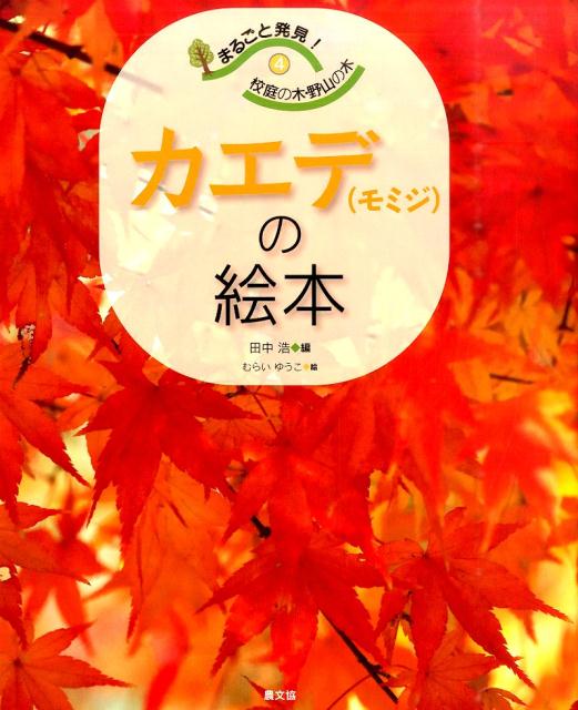 まるごと発見 校庭の木・野山の木 4 カエデ モミジ の絵本