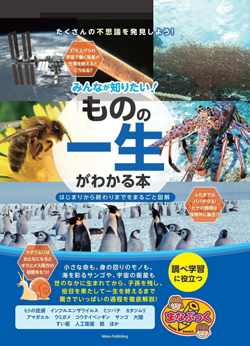 みんなが知りたい! 「ものの一生」がわかる本 はじまりから終わりまでをまるごと図解