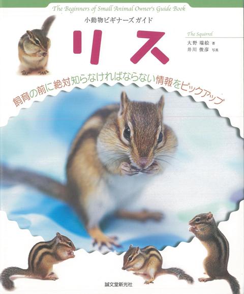 【バーゲン本】リスー小動物ビギナーズガイド