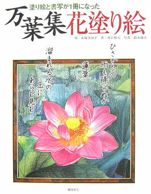 万葉集花塗り絵