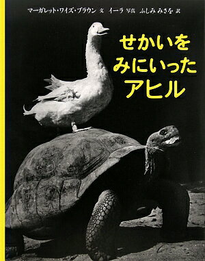 ��������ߤˤ��ä����ҥ�