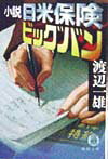 小説日米保険ビッグバン