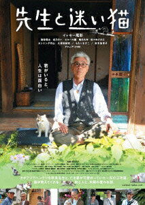 先生と迷い猫 豪華版【Blu-ray】