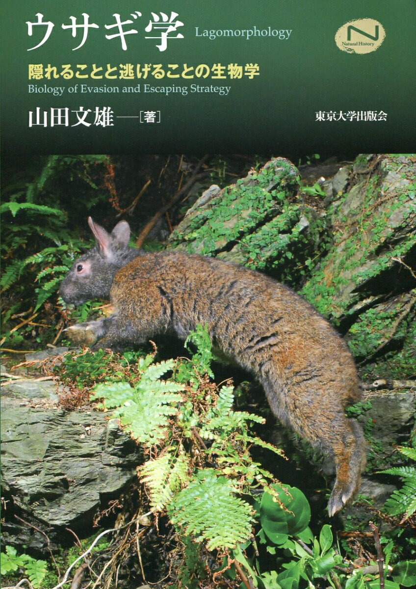 隠れることと逃げることの生物学 ナチュラルヒストリーシリーズ 山田 文雄 東京大学出版会ウサギガク ヤマダ フミオ 発行年月：2017年02月27日 予約締切日：2017年02月26日 ページ数：270p サイズ：単行本 ISBN：9784130601993 山田文雄（ヤマダフミオ） 1953年滋賀県に生まれる。1975年新潟大学農学部林学科卒業。1981年九州大学大学院農学研究科畜産学専攻（動物学）博士課程単位取得満期退学。現在、国立研究開発法人森林総合研究所野生動物研究領域鳥獣生態研究室特任研究員、農学博士。専門は動物生態学（本データはこの書籍が刊行された当時に掲載されていたものです） 第1章　ウサギと人間ー古くからのつきあい／第2章　ウサギ学概論ー分類・分布・進化／第3章　ノウサギー走ることへの適応／第4章　アナウサギー穴居生活への適応と侵略的外来種問題／第5章　アマミノクロウサギー日本の特別天然記念物／第6章　ウサギ学のこれからー保全生物学の視点 本 科学・技術 動物学