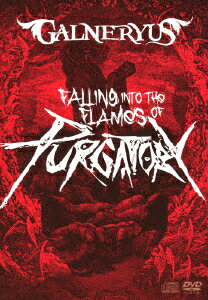 FALLING INTO THE FLAMES OF PURGATORY（DVD完全生産限定版　TシャツサイズM） [ GALNERYUS ]