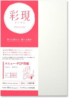 PCM竹尾 プリンタ用紙 彩現 メニュー・POP用 A4 パルパー ホワイト 1741998