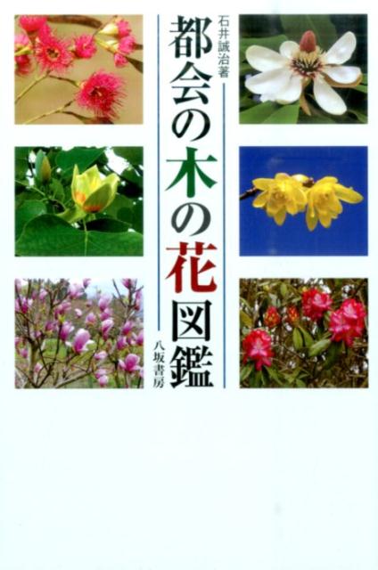 都会の木の花図鑑新装版