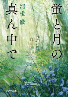 蛍と月の真ん中での表紙