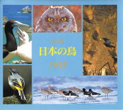 日本の鳥（1995）