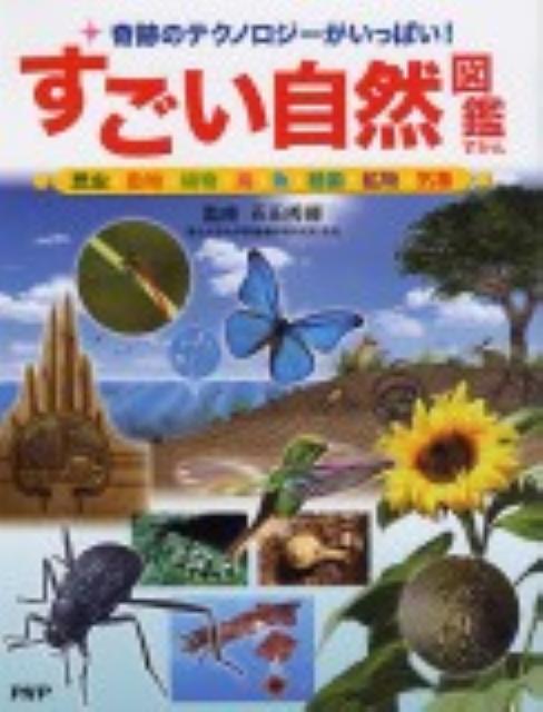 �����������޴�