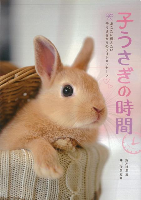 【バーゲン本】子うさぎの時間