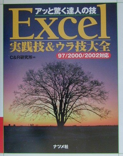 Excel実践技＆ウラ技大全