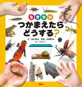 秋山幸也 松橋利光 偕成社BKSCPN_【bookーfestivalーthr】生きものつかまえたらどうする 生きもの 観察 飼育 イキモノ ツカマエタラ ドウスル アキヤマ,コウヤ マツハシ,トシミツ 発行年月：2014年07月 予約締切日：2014年06月23日 ページ数：55p サイズ：単行本 ISBN：9784035272007 秋山幸也（アキヤマコウヤ） 神奈川県生まれ。相模原市立博物館学芸員（生物担当） 松橋利光（マツハシトシミツ） 神奈川県生まれ。生きものカメラマン こばようこ（コバヨウコ） 東京都生まれ。多摩美術大学絵画科卒業。夫のおだしんいちろう氏との共作で、第4回ピンポイント絵本コンペで最優秀賞を受賞。絵本や児童書など、幅広く活躍（本データはこの書籍が刊行された当時に掲載されていたものです） ダンゴムシ、ハサミムシ、カタツムリ、ナメクジのなかま見つけた！／ダンゴムシつかまえた！／イモムシ、ケムシ見つけた！／イモムシつかまえた！／バッタ、キリギリスのなかま見つけた！／オンブバッタつかまえた！／トノサマバッタつかまえた！／キリギリスつかまえた！／コガネムシ、カミキリムシのなかま見つけた！／マメコガネつかまえた！〔ほか〕 家の庭や、近所の空き地、公園の林の中、池のそば、田んぼや畑、川のまわり…いろいろな生きものを見つけたよ！つかまえたい！つれて帰りたい！でも、飼いかたは？飼えなくなったら、どうするの？この本を読むと、身近な生きもののつかまえかた、持ちかえりかた、飼いかた、観察のポイントなどがひと目でわかります。小学生から。 本 絵本・児童書・図鑑 図鑑・ちしき