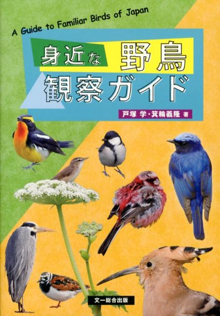 身近な野鳥観察ガイド