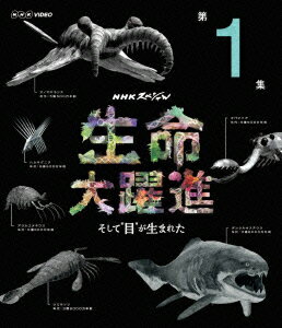 NHKスペシャル 生命大躍進 第1集 そして“目"が生まれた【Blu-ray】 [ 新垣結衣 ]